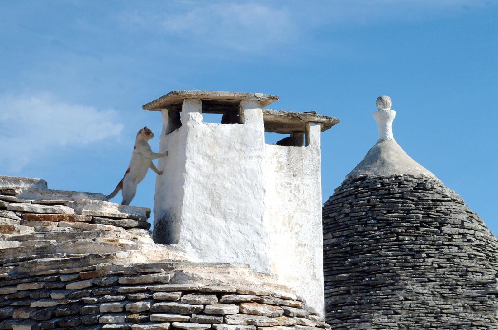 B&B Corso Trieste E Trento Alberobello Exterior photo